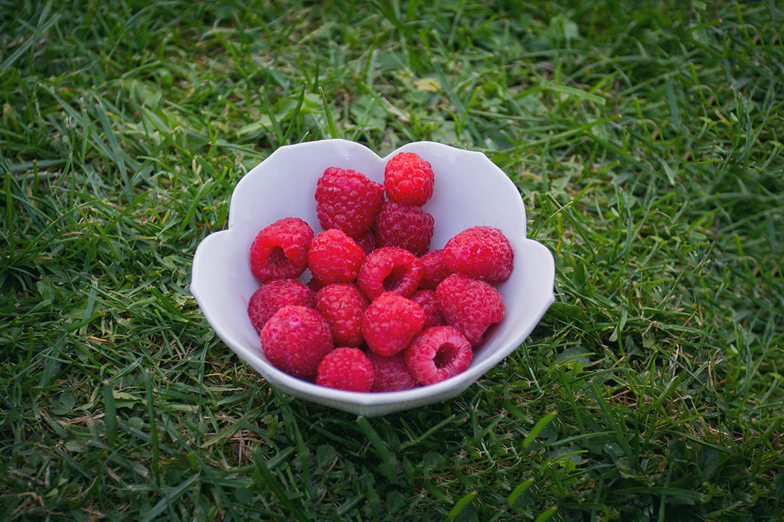 40 himbeeren garten landleben lucinacucina