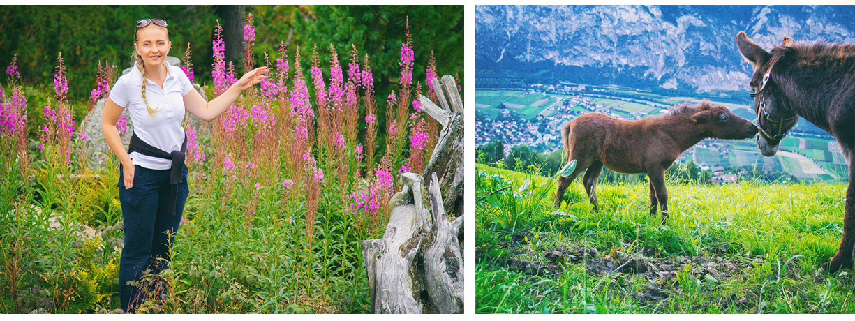 4 lucina cucina  lucinaslife haimingerberg hausegg tirol landleben kuehtai pony pferde