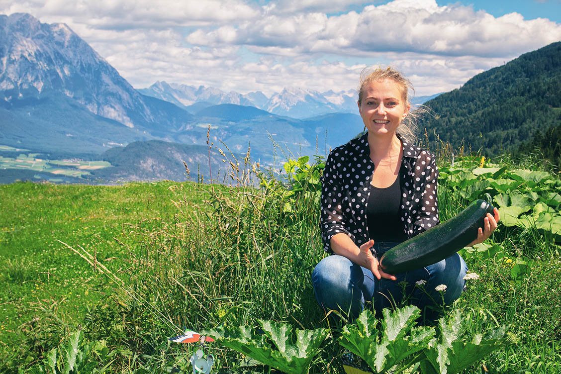 zucchini hausegg haimingerberg selbstversorger landleben landgarten