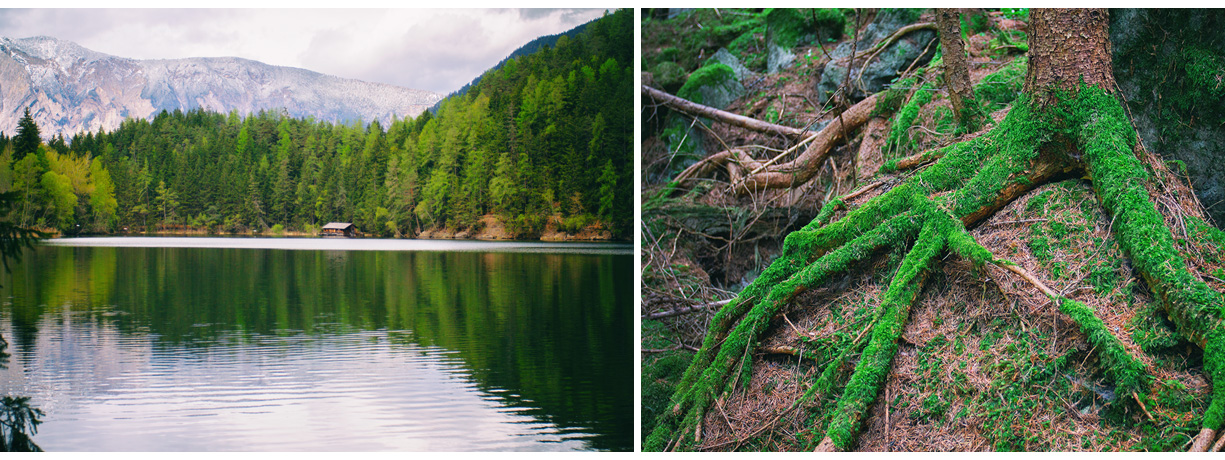 52 tirol wald piburgersee