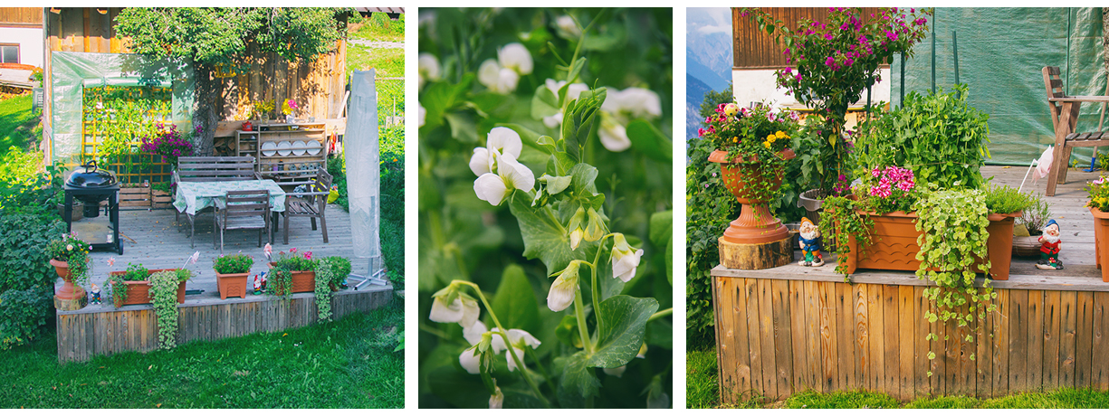 4 haimingerberg hausegg ferienwohnung garten bohnen selbstversorger landleben country tyrol berge bauern lucinaslife lucinacucina